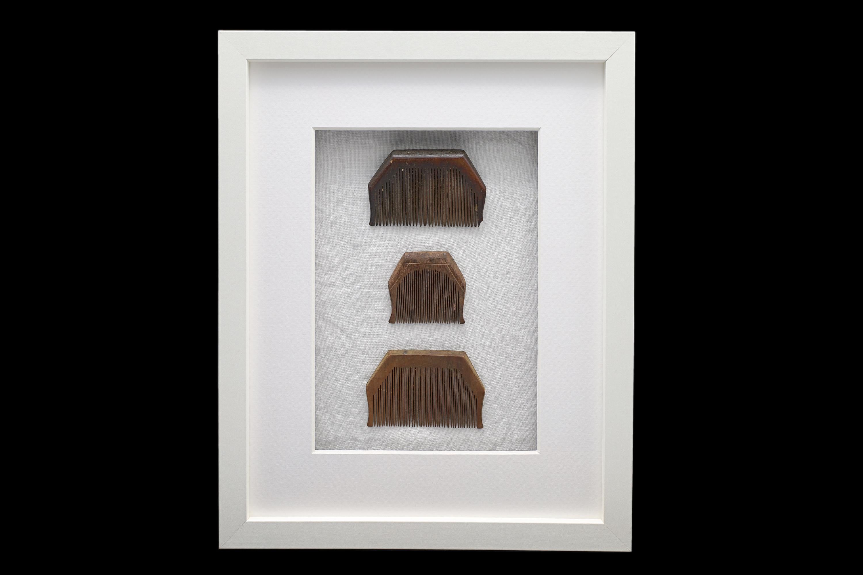 Colonial India, Circa 1920s Hand Carved Wood Combs From Rajasthan Gipsy Tribesmen, Kalbelia, Framed And Read To Hand On Wall, Bathroom Decor