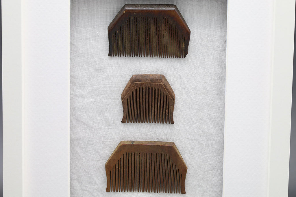 Colonial India, Circa 1920s Hand Carved Wood Combs From Rajasthan Gipsy Tribesmen, Kalbelia, Framed And Read To Hand On Wall, Bathroom Decor
