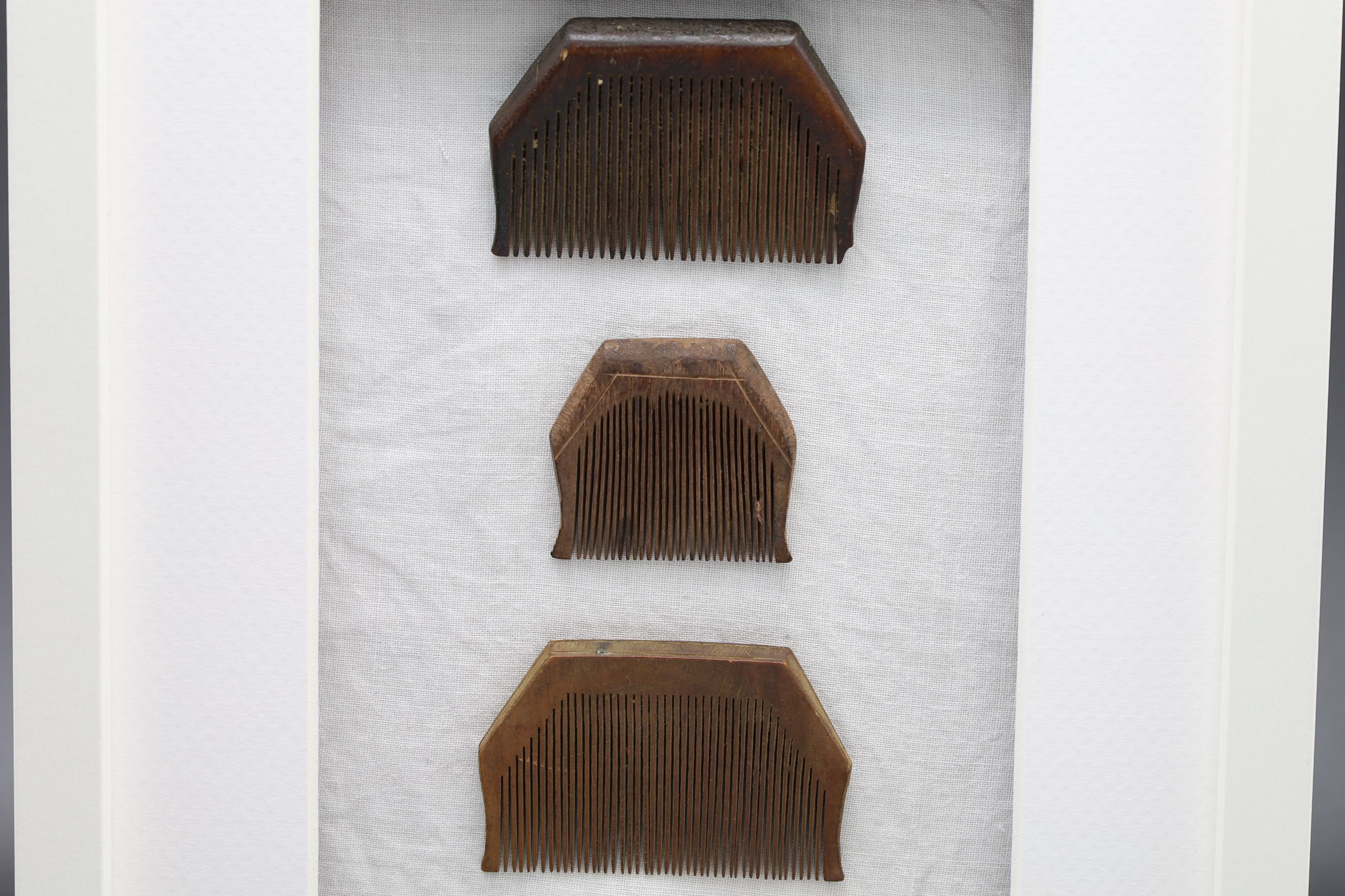 Colonial India, Circa 1920s Hand Carved Wood Combs From Rajasthan Gipsy Tribesmen, Kalbelia, Framed And Read To Hand On Wall, Bathroom Decor