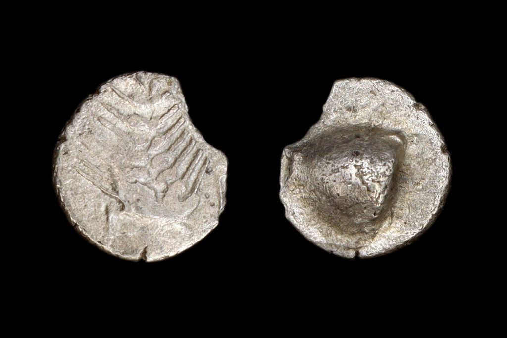 Orchomenos Boeotia Coin, Ancient Greece 400 To 364 BCE Silver Hemiobol With Half Wheat Grain, Ivy Leaf Above, Collectibles And Numismatics