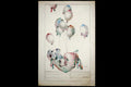 Abortion, A Hand Signed 1973 Color Pencil Drawing Painting By Antonio. Surrealism, Contemporary Artwork With Ballons