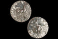Ancient 1st Century BCE Hellenistic Billon Coin, Indo Scythian Kingdom Of Azes II, Bactria In Central Asia, Numismatics And Collectibles