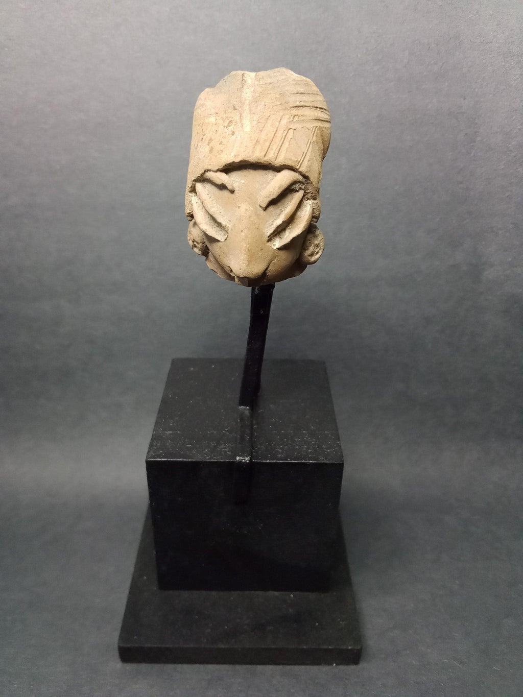 Ancient Chichimeca Quauhchichitl Head Of A Larger Figure From Chupicuaro Culture, Mexican Mesoamerica Art Between The 400 BCE To 200 AD