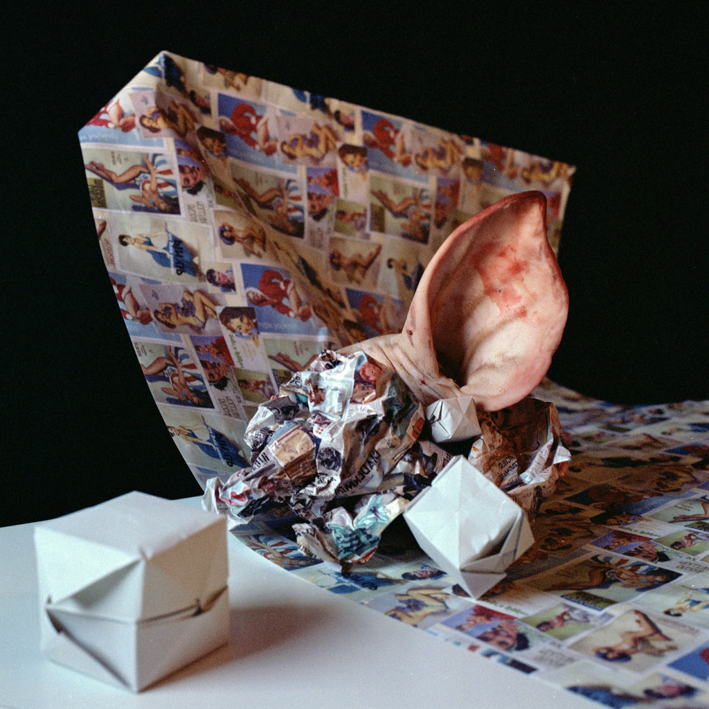 A Deep Wave of Sounds, Still Life Photography, Hasselblad 24 x 24 inches Color Analogue Art Prints, Cabinet of Curiosities, Animal Pig