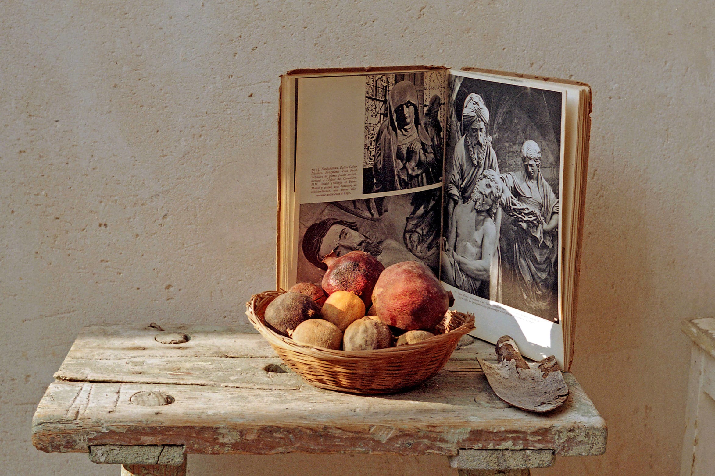 Sins Are Bittersweet, Ein Hod Village, Har HaKarmel Israel, Damaged Expired 35 mm Film, Analogue Color Film Photography, Still Life Bodegon