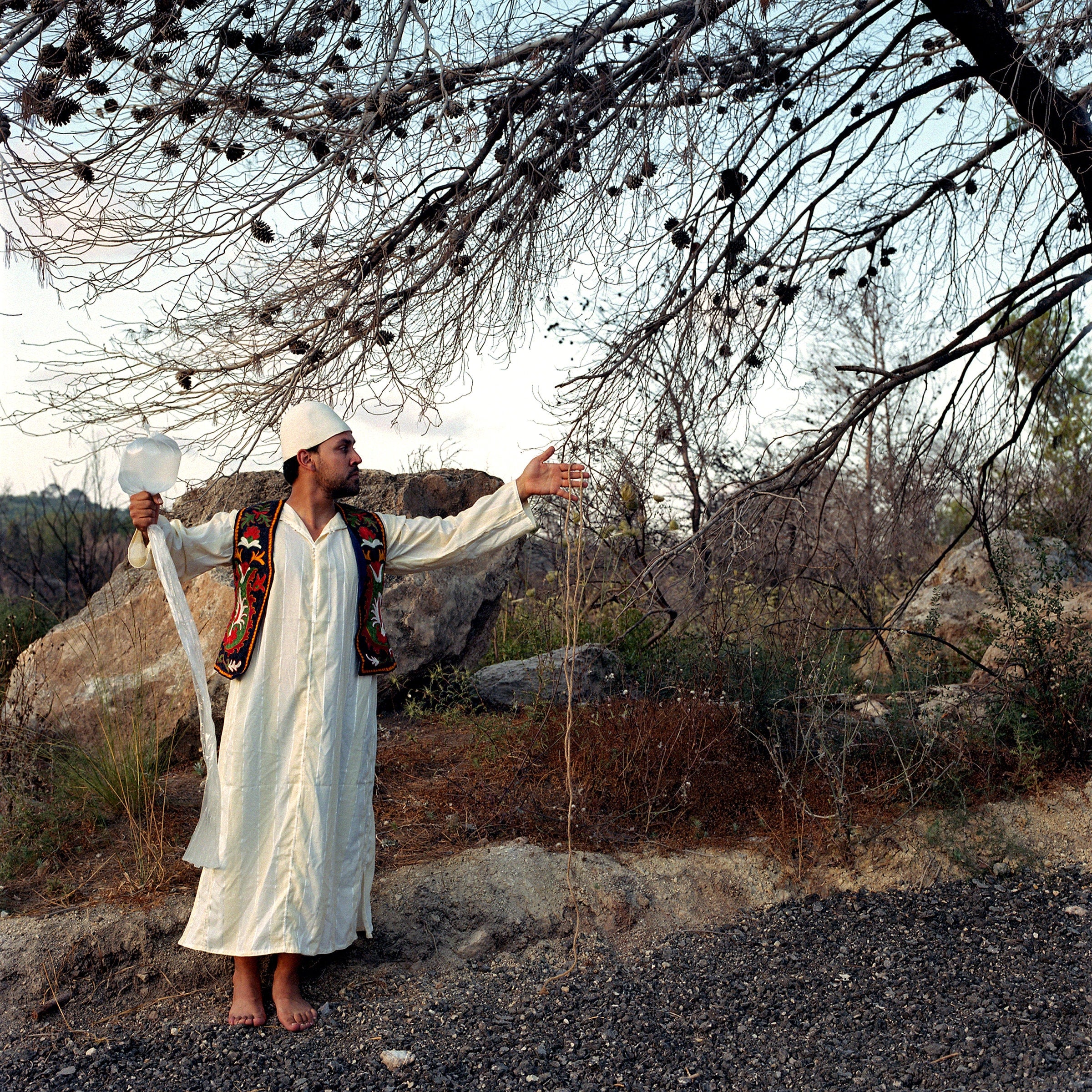 Shepherding Clouds And Souls, Burnt Forest, Holy Mount, Har HaKarmel Israel, Analogue Hasselblad Color Film Photography Print 24 x 24 inches