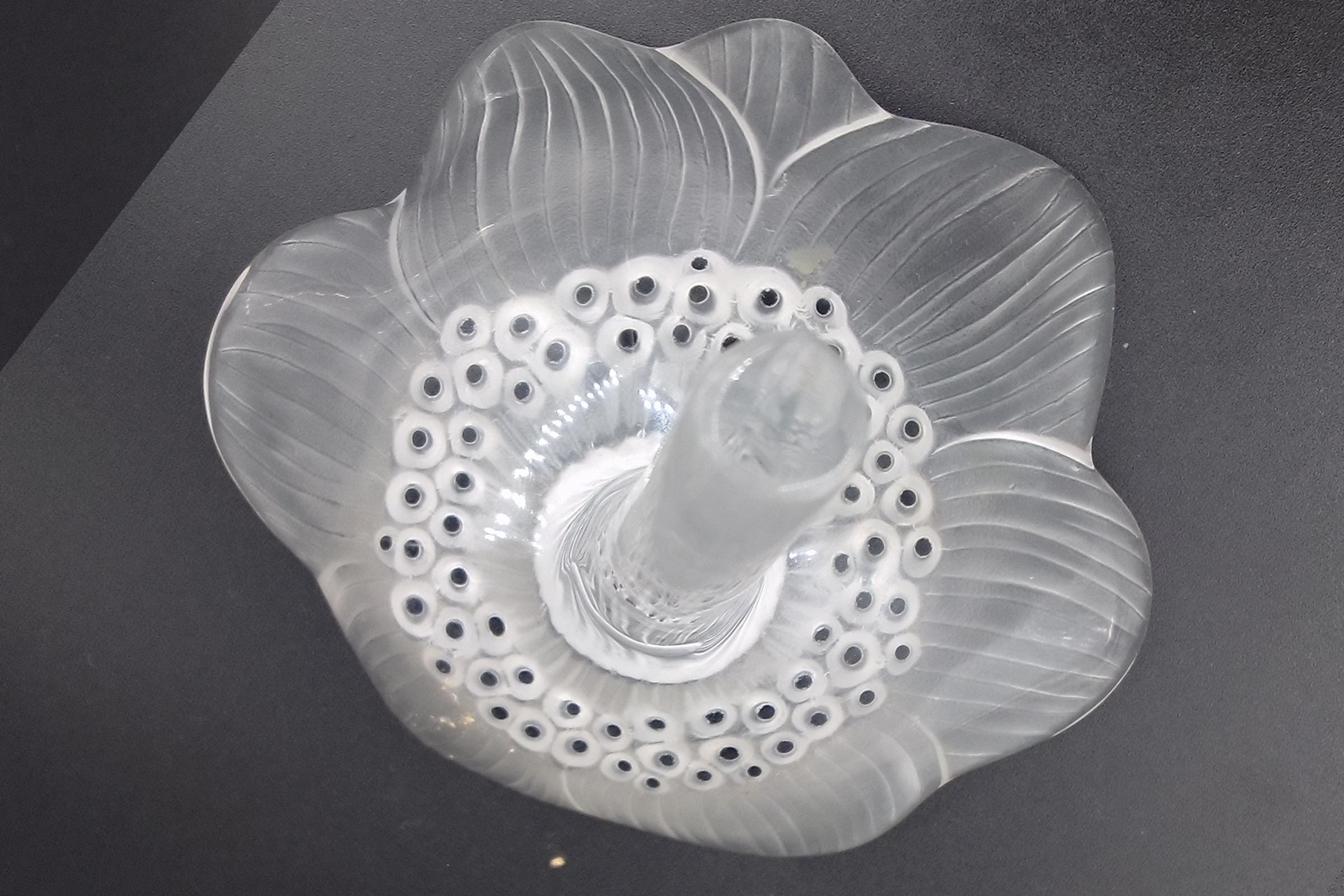 Lalique France Anemone Flower Figurine, A Large Figural Paperweight Or Desk Accent, Frosted Glass With Black Accents, Art Deco Style