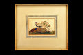 Antique 19th Century Imperial China Qing Dynasty Artwork, Pheasant Birds In A Garden, Painting In Rice Paper, Oriental Art Collectibles