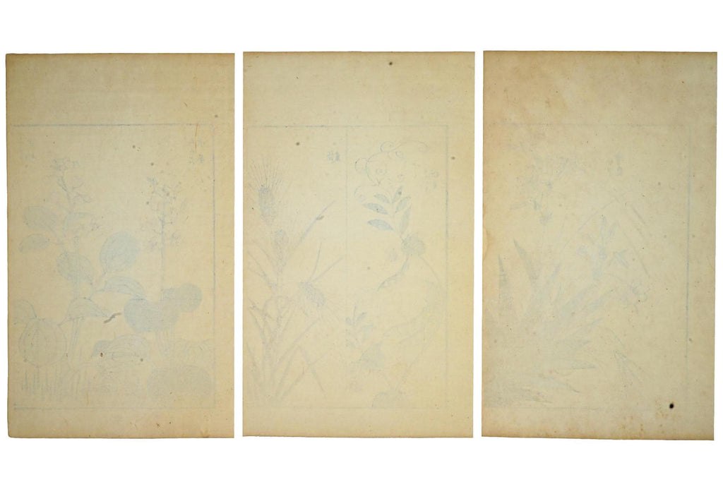 Katsushika Hokusai, Late 18th Century Woodblock Art Print, Wild Grass And Other Plants From The Gafu Album, Japanese Ukiyo-e Book Pages