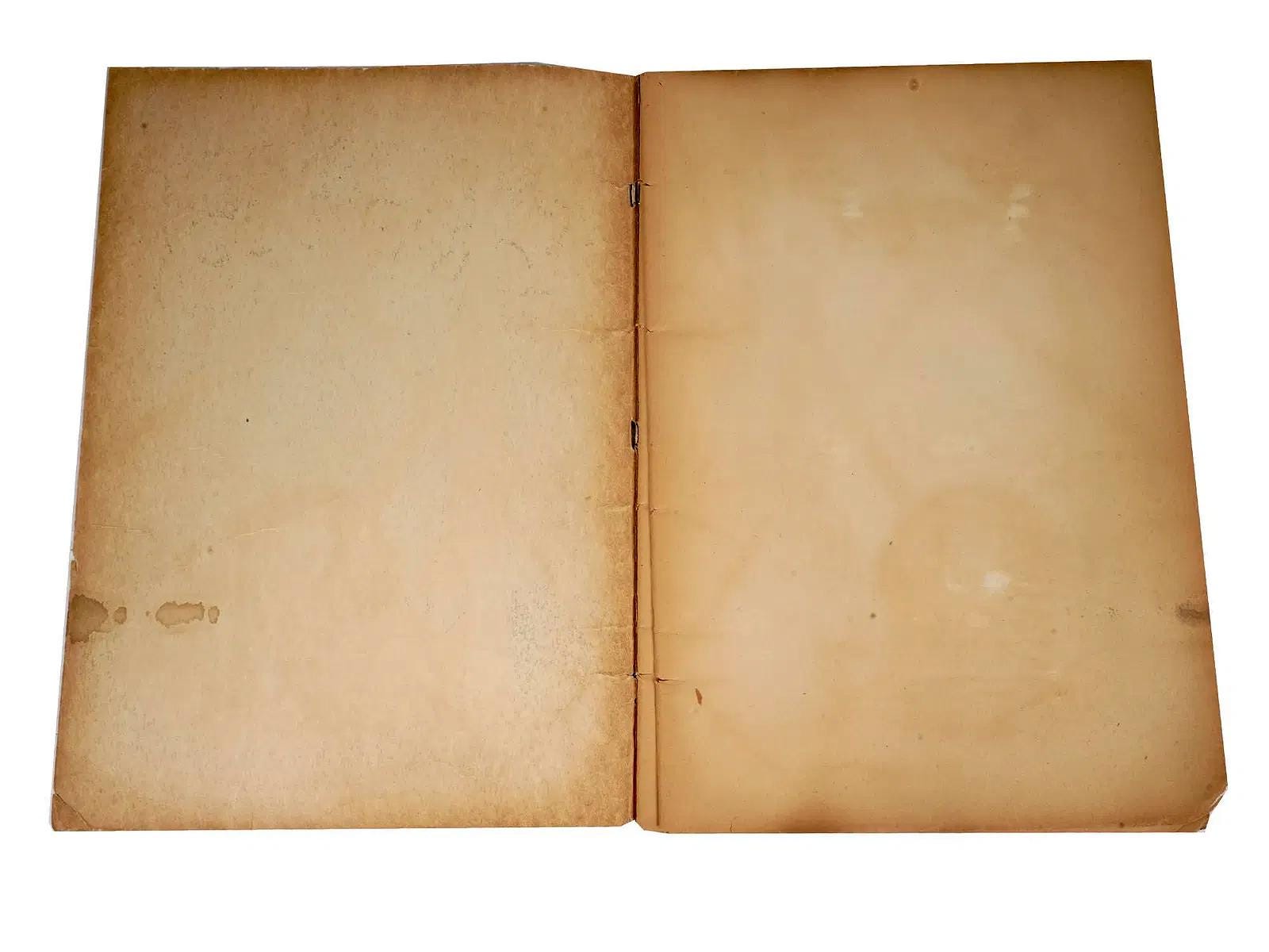 New York World Fair Of 1939, A Pair Of Scrapbooks With The Official Covers, Books And Paper Ephemera Collectibles, Americana Memorabilia