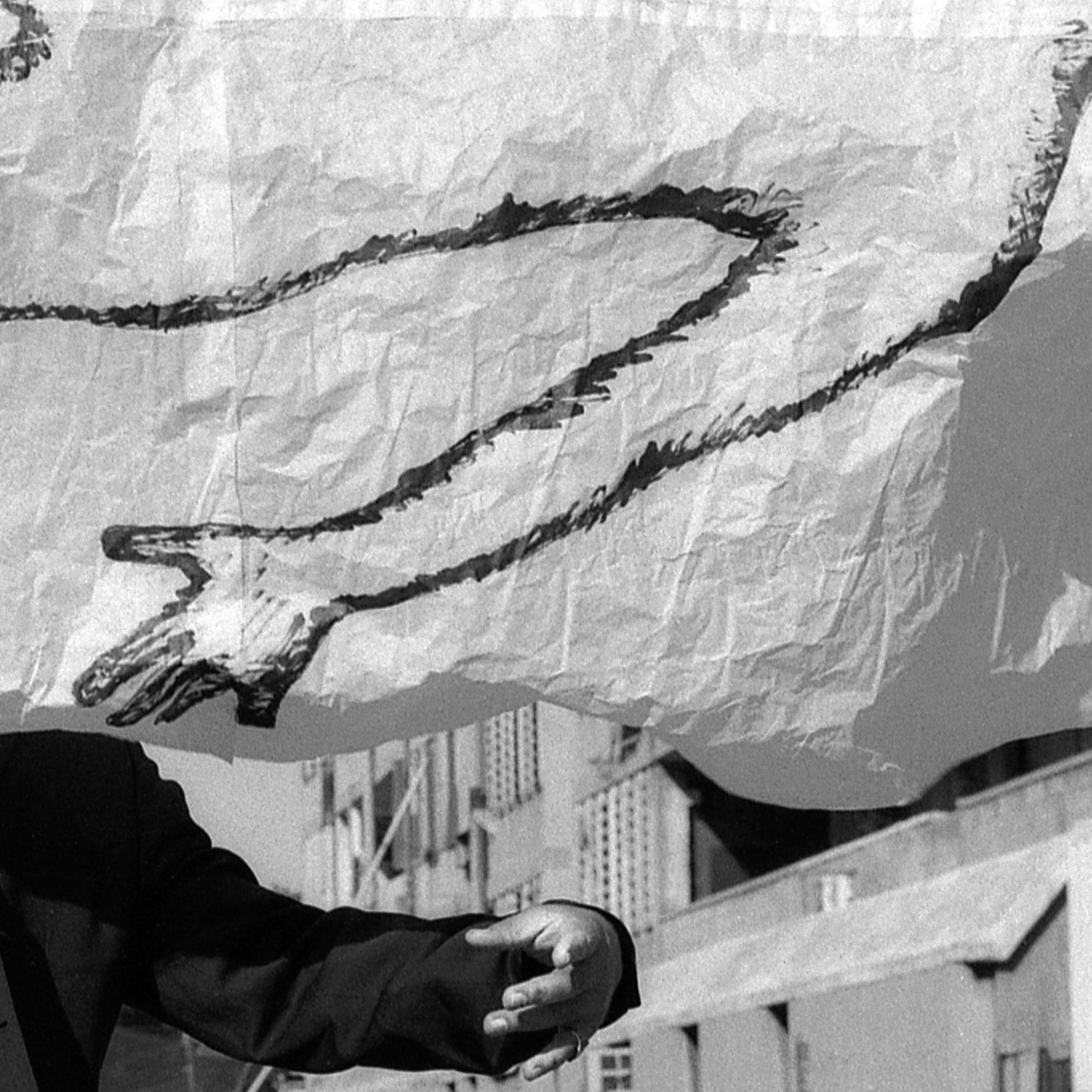 Technique du coup d Etat, Homage to Curzio Malaparte, Black and White Photo, Dance Performance, Street Choreography, Full Body Man Portrait