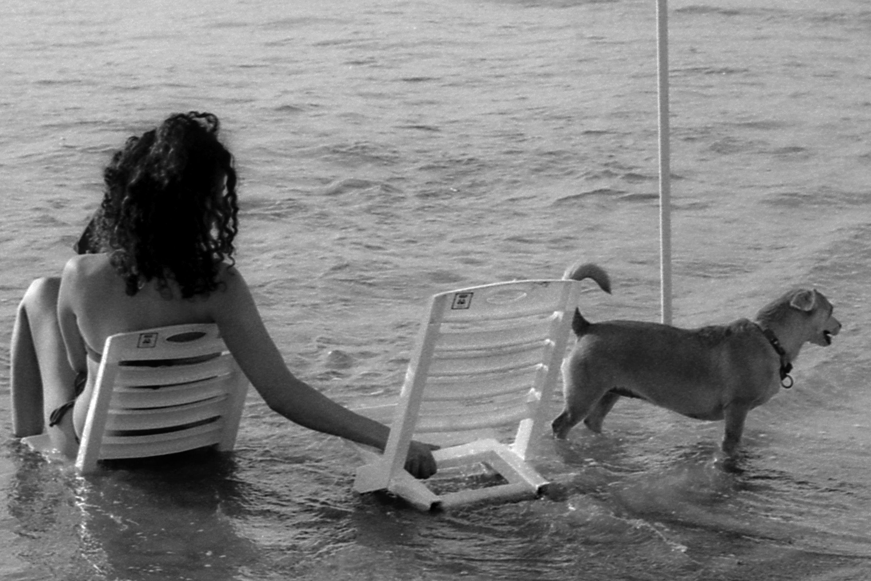 The Beach Guardian And Her Pet Dog, Rasko Beach Near Emek Hefer, Netanya Israel, Ilford Black And White Film 35mm Analogue Photography Print