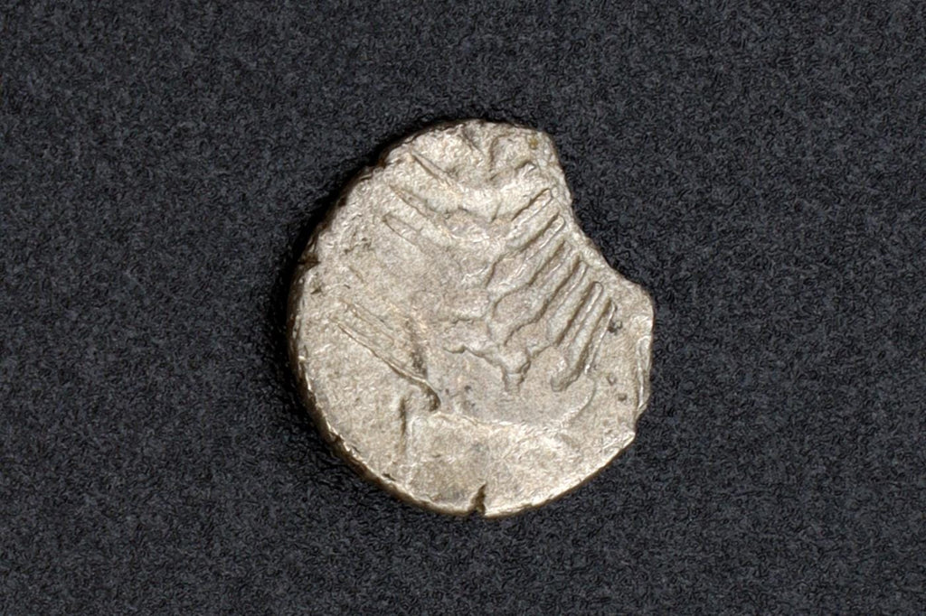 Orchomenos Boeotia Coin, Ancient Greece 400 To 364 BCE Silver Hemiobol With Half Wheat Grain, Ivy Leaf Above, Collectibles And Numismatics