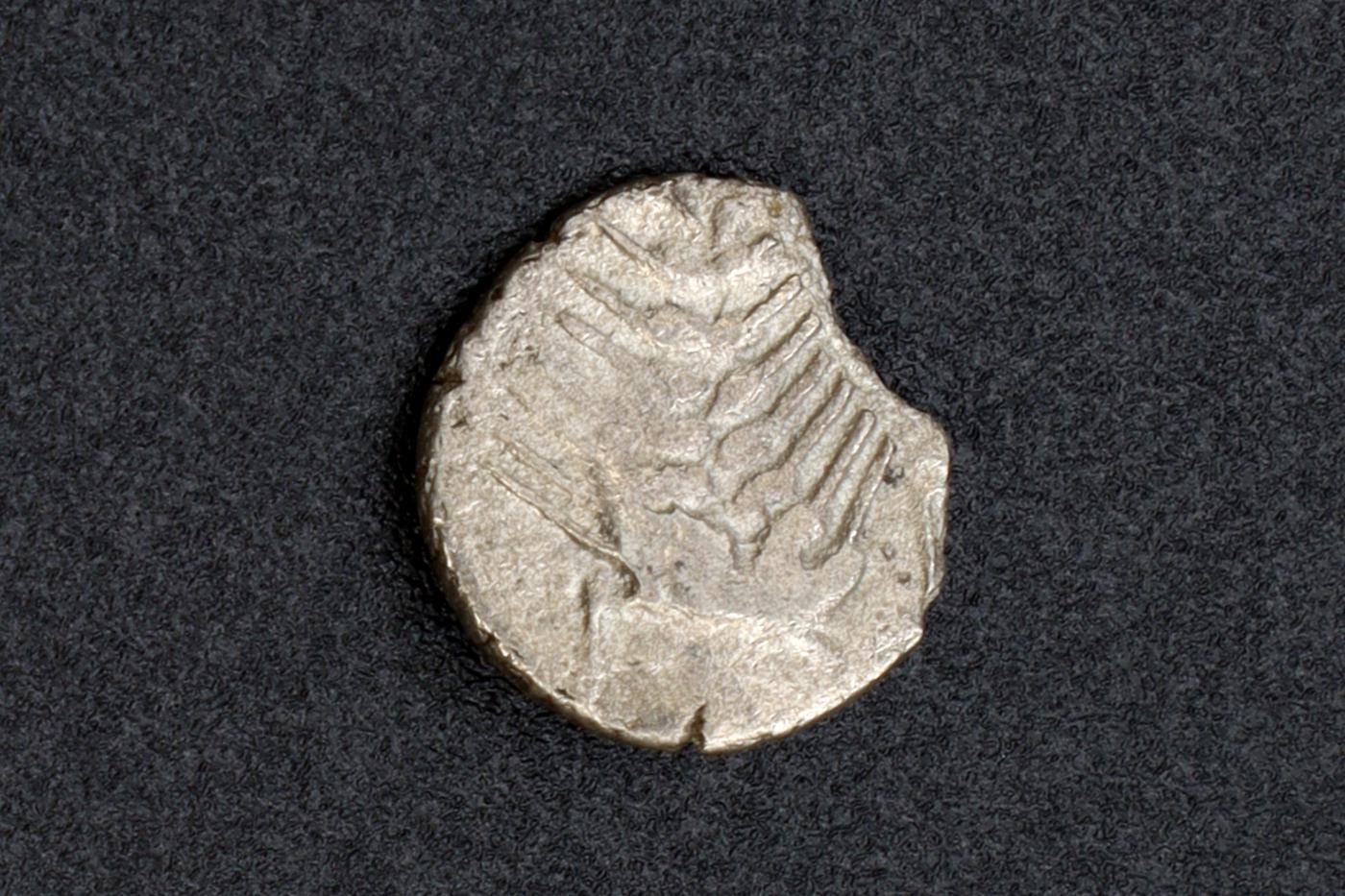 Orchomenos Boeotia Coin, Ancient Greece 400 To 364 BCE Silver Hemiobol With Half Wheat Grain, Ivy Leaf Above, Collectibles And Numismatics