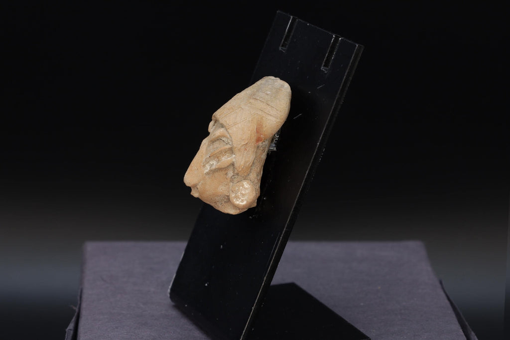 Ancient Chichimeca Quauhchichitl Head Of A Larger Figure From Chupicuaro Culture, Mexican Mesoamerica Art Between The 400 BCE To 200 AD