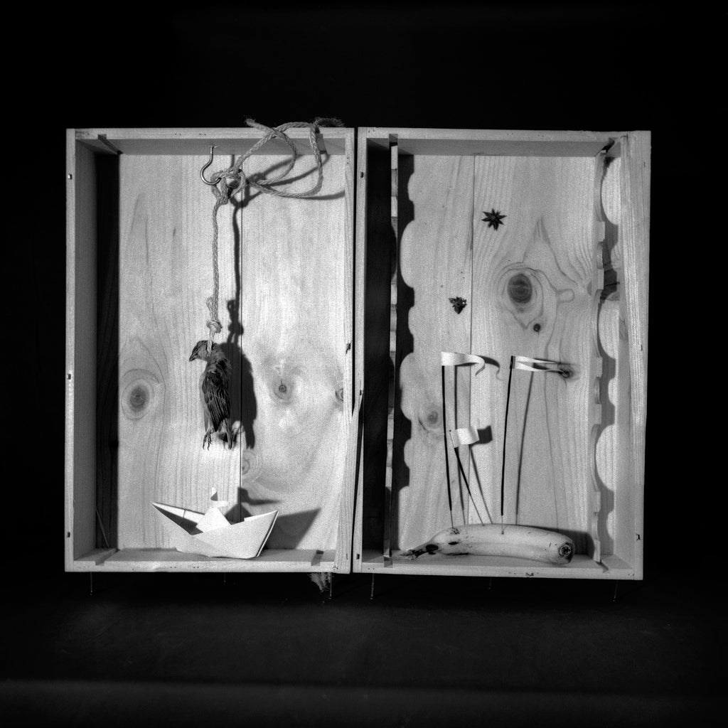 Fable Of A Soldier An Island And The Dreams For Freedom, Contemporary Conceptual Art Print, Black And White Film Photography, Dark Goth