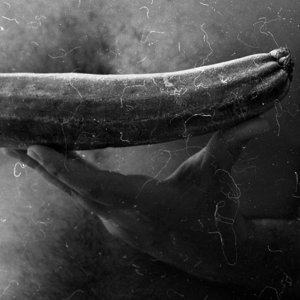 The Cucumber King, Wir pfeifen auf den Gurkenkonig, Black And White Analogue Photography, Manipulated Negative Film, Large Art Prints