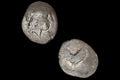Neapolis Campania AR Coin, Ancient 300 To 275 BCE Silver Triobol With Apollo Head And Cockerel Rooster, Collectibles And Numismatics