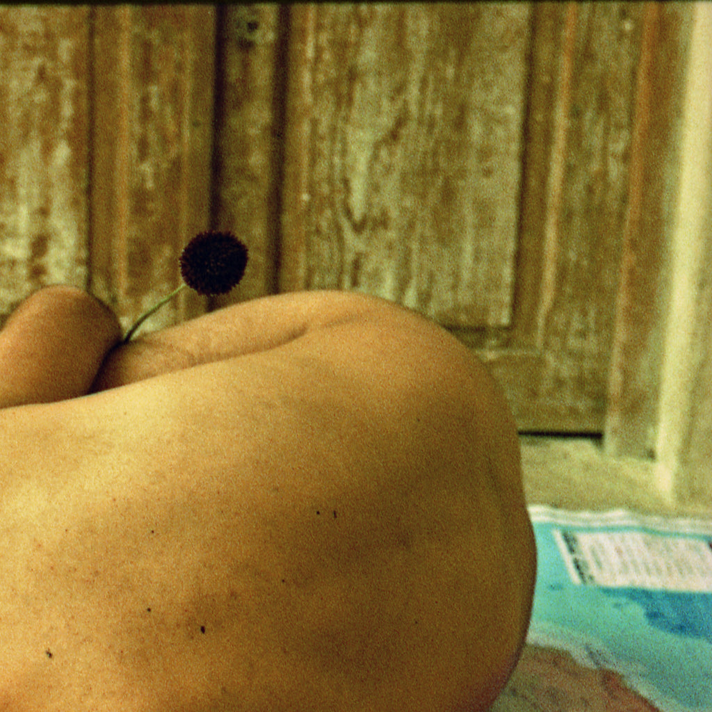 Road Maps Far From Paradise, Ein Hod Haifa Israel, Contemporary Analogue Photography Art, Expired Damaged 35mm Film, Man Male Nude Bodyscape