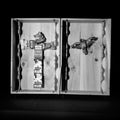 Wagnerian Gesamtkunstwerk, A Piece For Hermann Nitsch, Contemporary Conceptual Art, Black And White Film, Large 24 x 24 inches Photo Prints