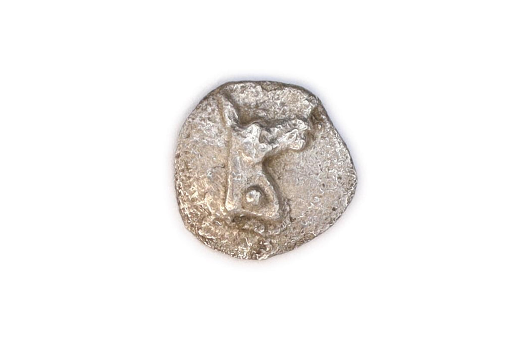Mende Macedonia 480 BCE Silver Coin Hemiobol, Head Of Donkey And Geometric Incuse, Numismatics Antiquities, Ancient Chalcidice Stater Drachm