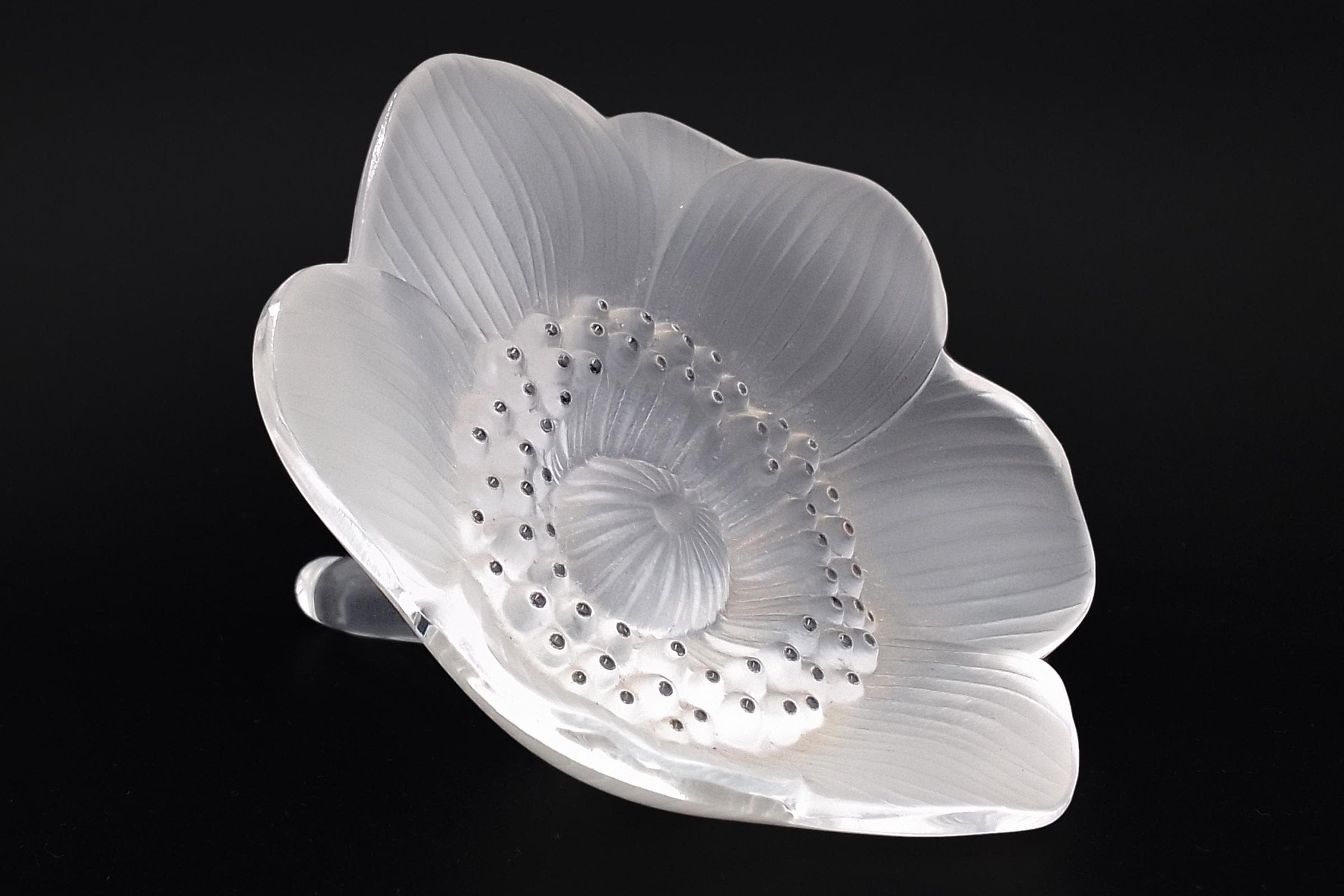 Lalique France Anemone Flower Figurine, A Large Figural Paperweight Or Desk Accent, Frosted Glass With Black Accents, Art Deco Style