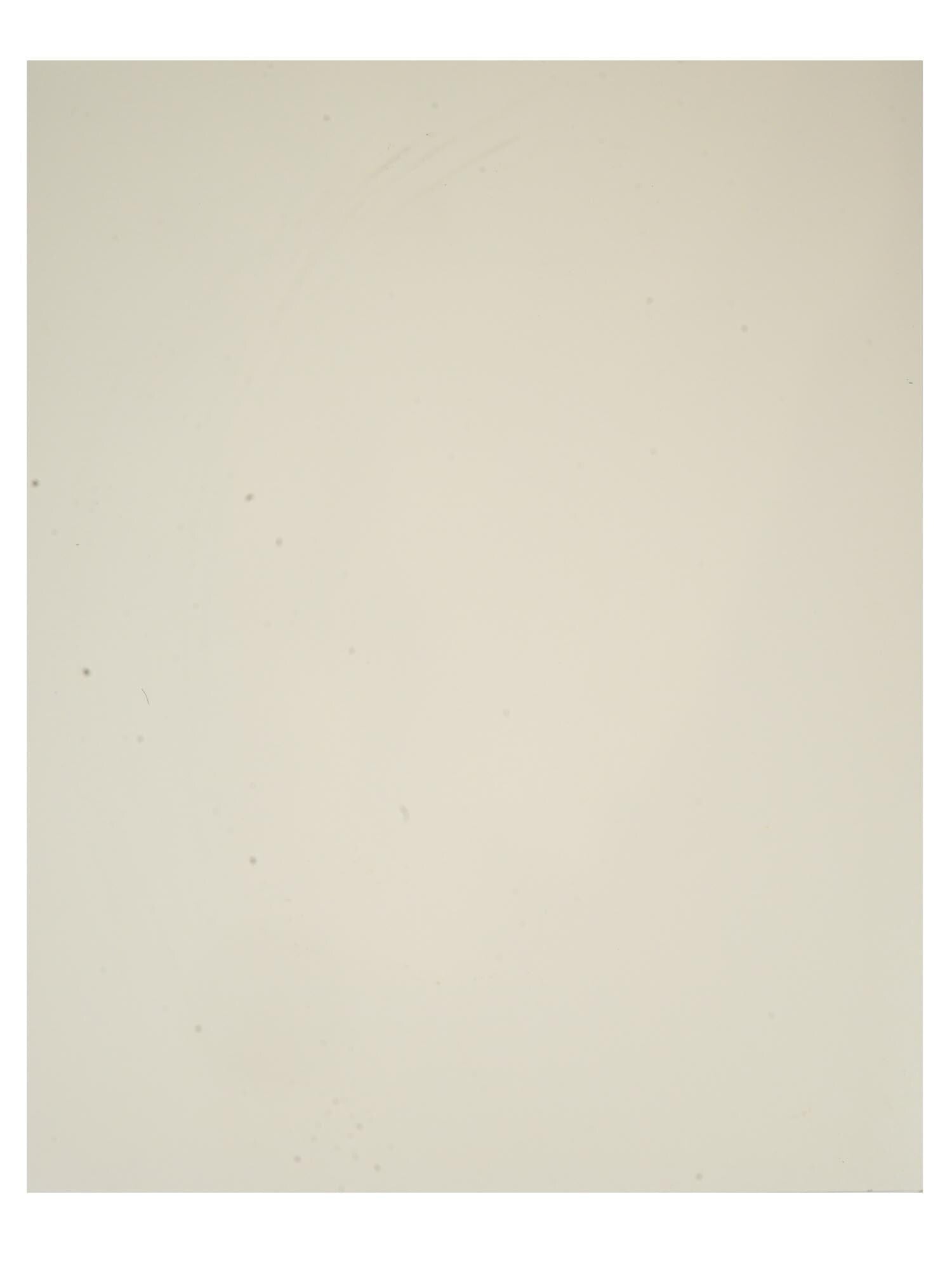 Katsushika Hokusai, Japanese, Antique Edo Period Ukiyo-e Woodblock Print On Kozo Paper From Manga Vol 10. Circa, Early 19th Century