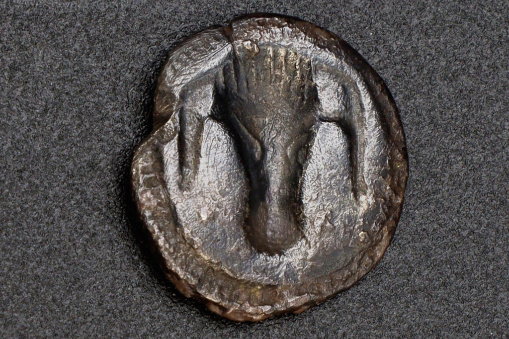 Metapontion Lucania Coin, Ancient 470 To 440 BCE Silver Hemidrachm, Bucranium Bull And Barley, Collectibles And Numismatics