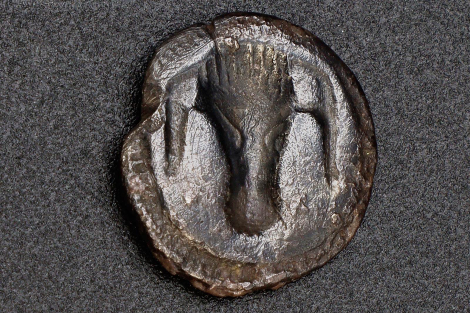 Metapontion Lucania Coin, Ancient 470 To 440 BCE Silver Hemidrachm, Bucranium Bull And Barley, Collectibles And Numismatics
