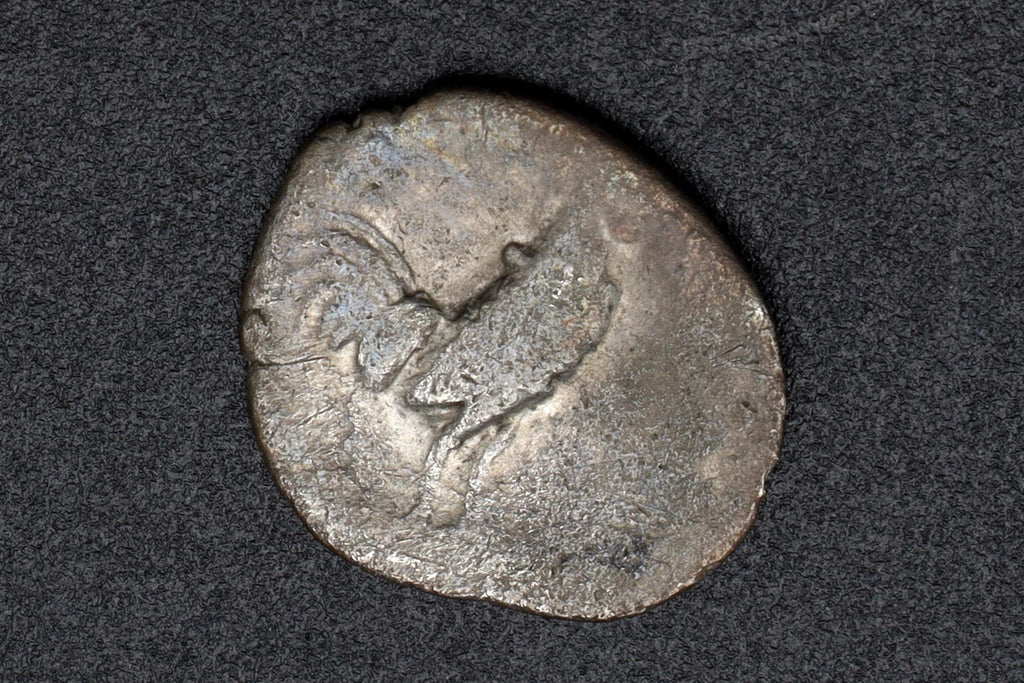 Neapolis Campania AR Coin, Ancient 300 To 275 BCE Silver Triobol With Apollo Head And Cockerel Rooster, Collectibles And Numismatics