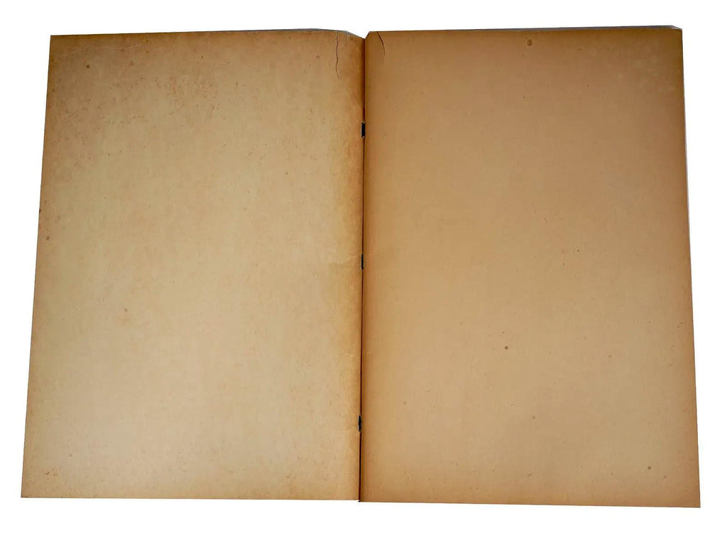 New York World Fair Of 1939, A Pair Of Scrapbooks With The Official Covers, Books And Paper Ephemera Collectibles, Americana Memorabilia