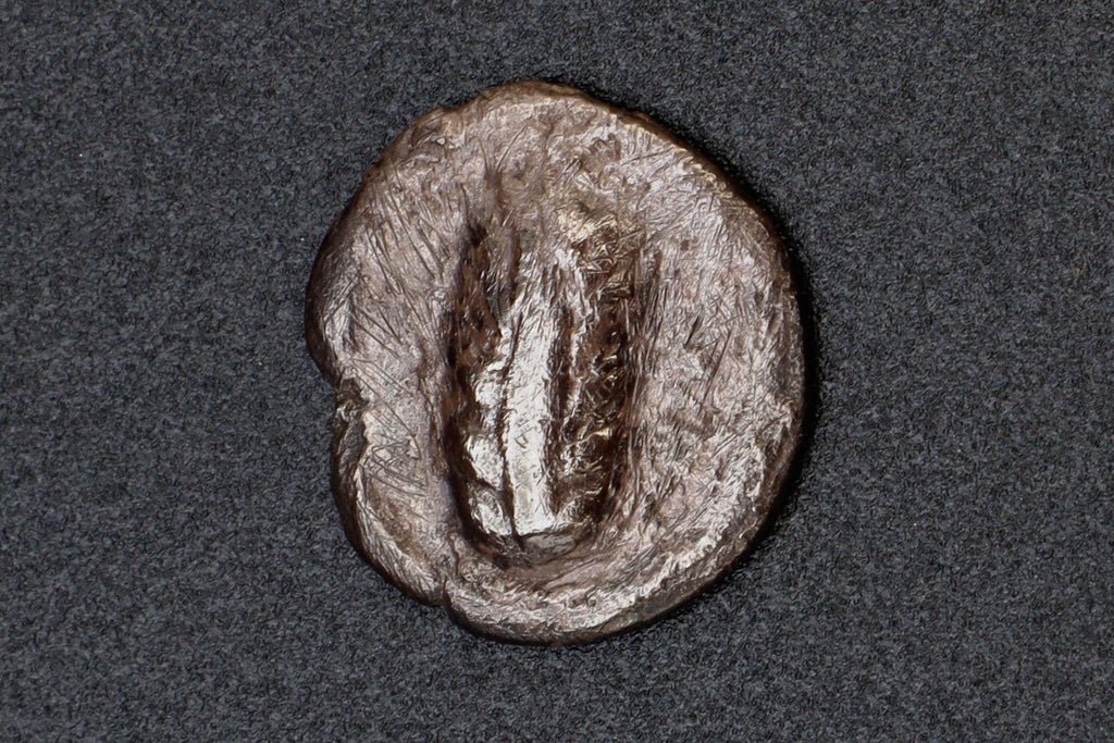 Metapontion Lucania Coin, Ancient 470 To 440 BCE Silver Hemidrachm, Bucranium Bull And Barley, Collectibles And Numismatics
