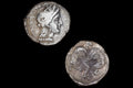 Ancient Tarentum, Calabria 325 To 280 BCE Silver Diobol Coin, Head Of Goddess Athena And Heracles With Lion, Collectibles And Numismatics