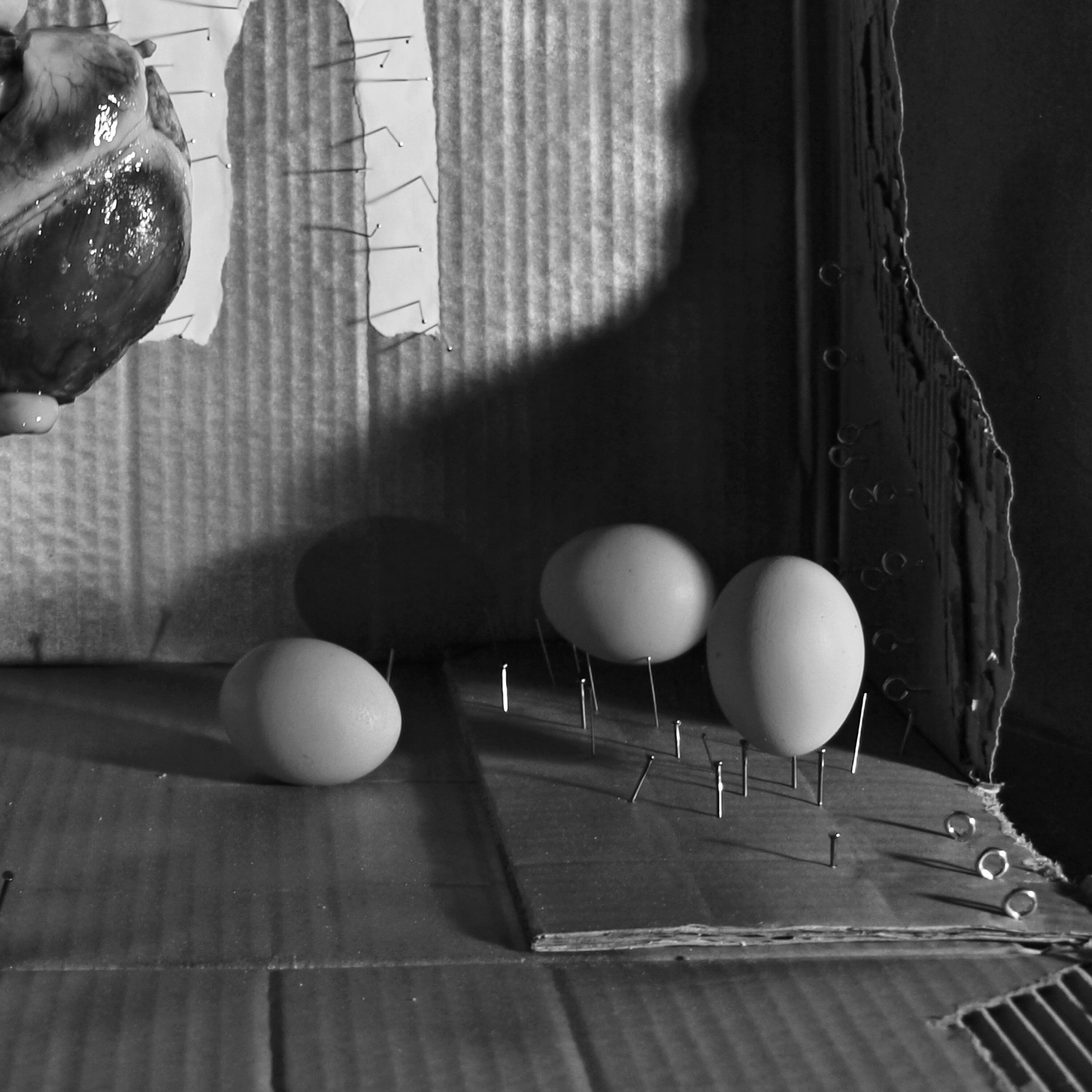 The Heart Of Spain, Ephemeral Assemblage Sculpture, Contemporary Conceptual Art, Black And White Photography, Dark Gore Goth Odd