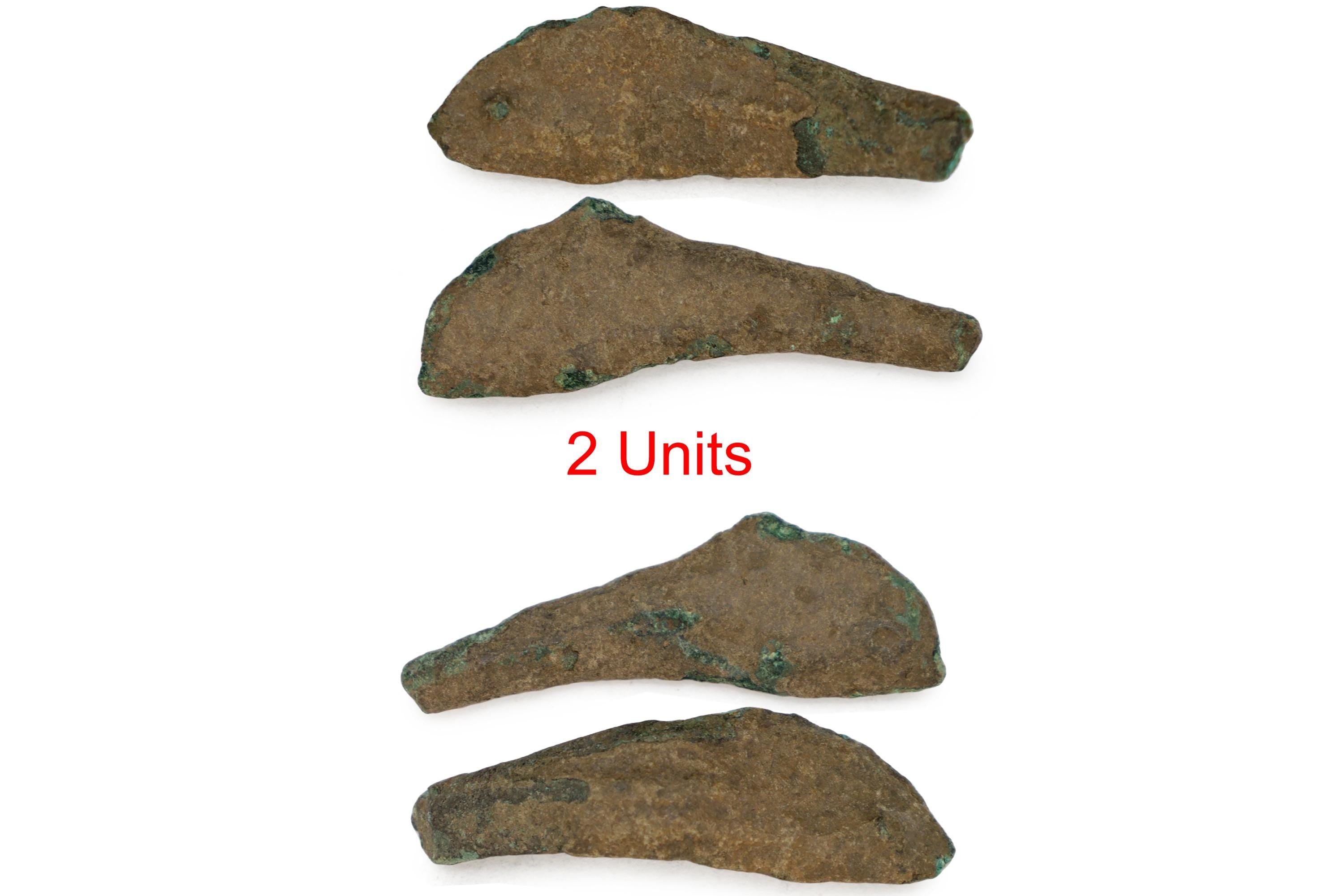 Pair Of Greek Coins, Dolphins of Olbia, Ancient 5th Century BCE Proto Money Of The Black Sea, Numismatics Historical Collectibles, Ukraine