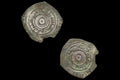 Medieval Egypt, Fatimids, al-Aziz Billeh, Fractional Value Of Half Dirham, Silver Coin With Arabic Calligraphy. Numismatics Collectibles