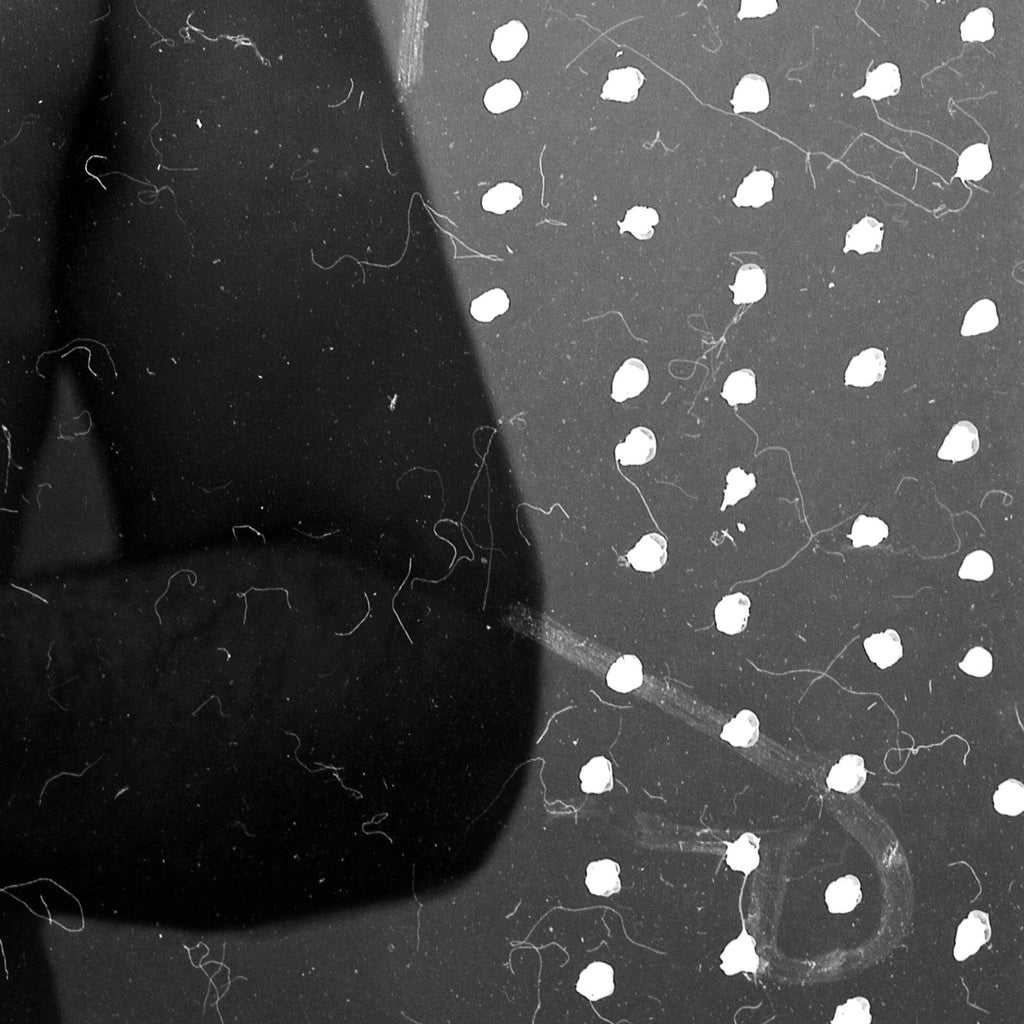 The Cucumber King, Wir pfeifen auf den Gurkenkonig, Black And White Analogue Photography, Manipulated Negative Film, Large Art Prints