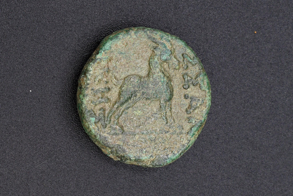 Greek Macedon, Thessalonica, Circa 187 BCE, Bronze Coin Dichalkon, Wreathed Head Of Dionysos And Goat, Ancient Collectibles Numismatics
