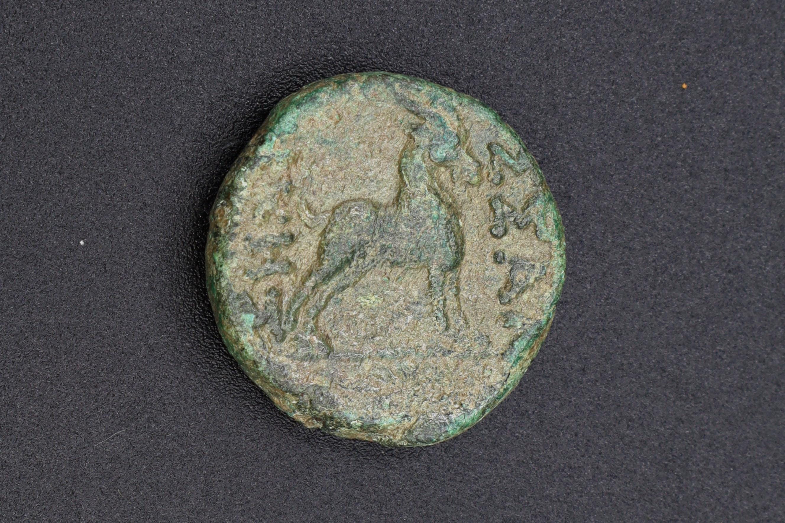 Greek Macedon, Thessalonica, Circa 187 BCE, Bronze Coin Dichalkon, Wreathed Head Of Dionysos And Goat, Ancient Collectibles Numismatics
