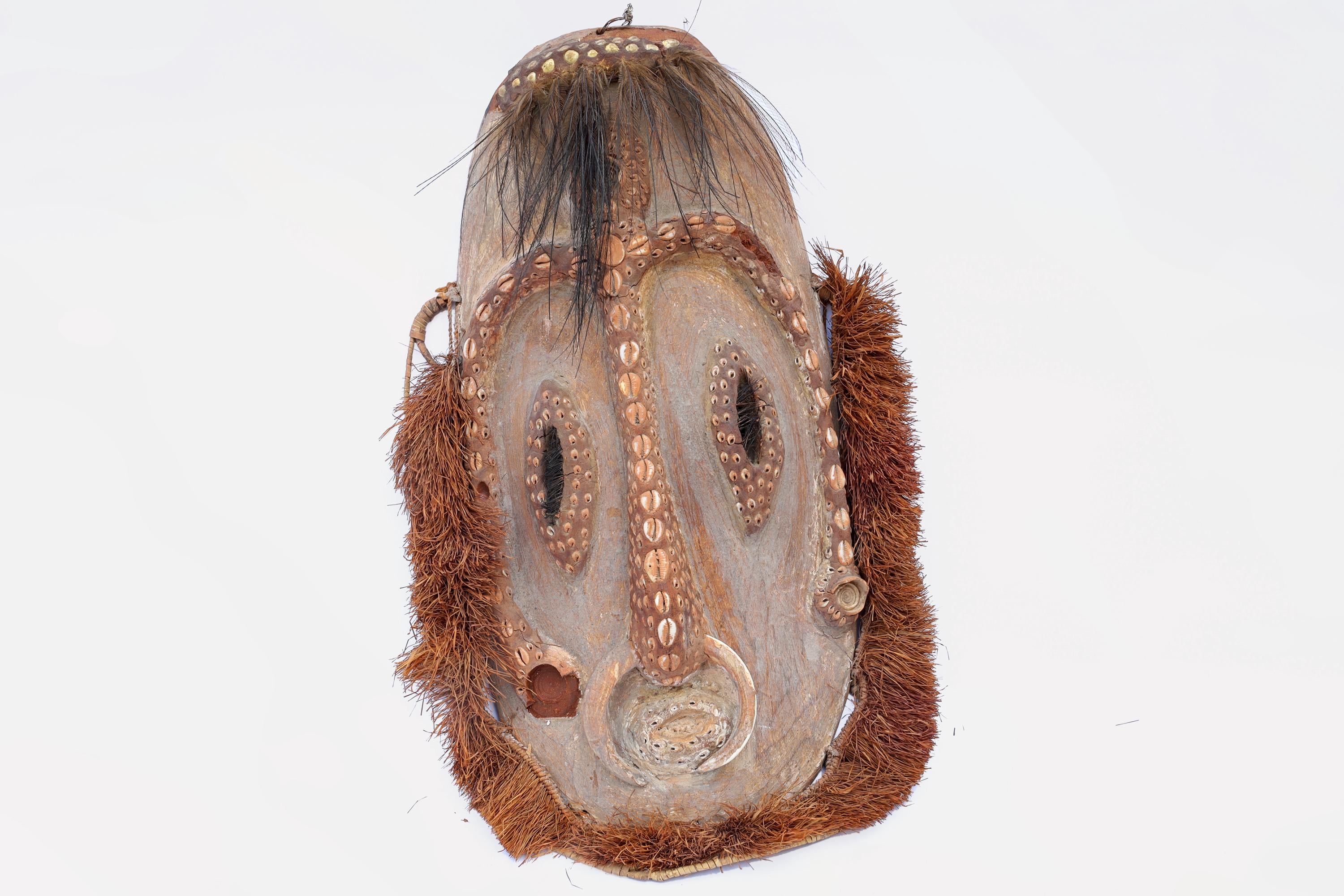 Papua New Guinea, Large Initiation Mask Helmet, Early 20th Century Sepik Tribesmen Ethnographic Art, Warriors Attire, Ethnic Home Decoration
