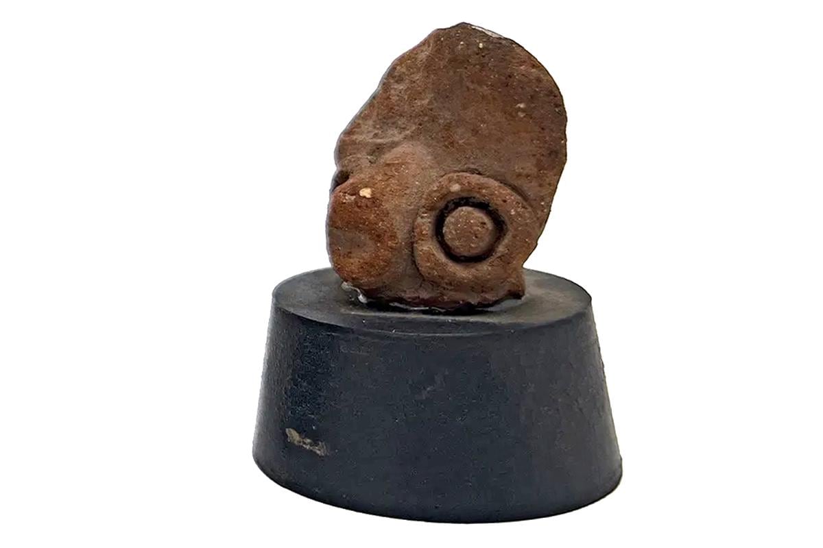 Ancient Pre Columbian Mixtec Pottery Representing A Bird, Early Formative Period Tayata 1350 To 850 BCE, Mexico Mesoamerican Art