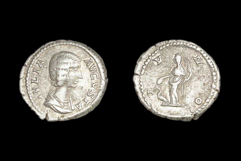 Ancient Roman Empire, 3rd Century AD, A Silver Denarius Coin. Empress Julia Domna Flavia Numismatics And Historical Antiquities Collectibles