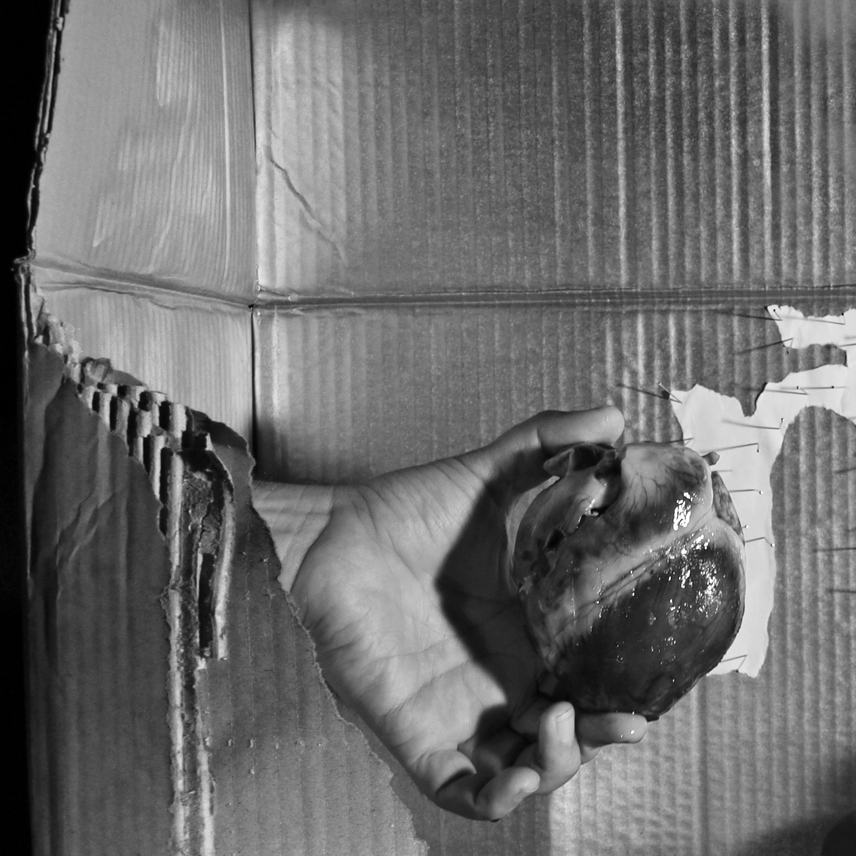 The Heart Of Spain, Ephemeral Assemblage Sculpture, Contemporary Conceptual Art, Black And White Photography, Dark Gore Goth Odd