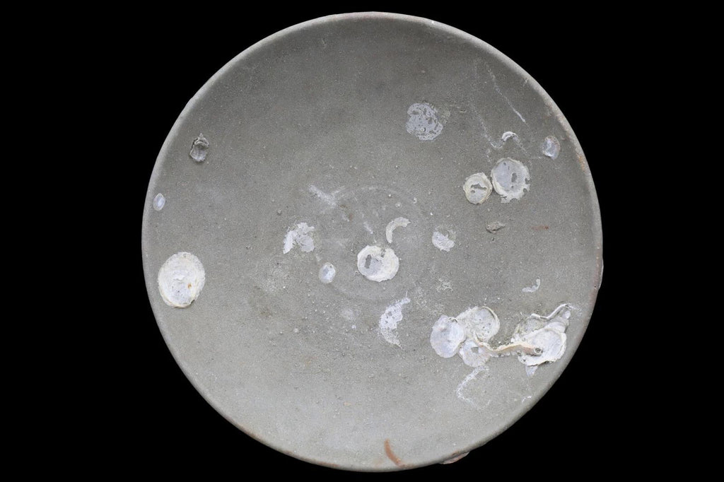 Ancient Ceramic Bowl, Dai Viet, Annam, Vietnam circa 1279 to 1368 AD, around the same period of the Chinese Yuan Dynasty, Shipwreck Pottery