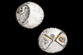 Ancient 4th Century BC Greek Chersonesos Thrace, Hemidrachm Silver Coin, Forepart Of A Lion, Poppy, Pellet And Greek Lettering H In Incuse