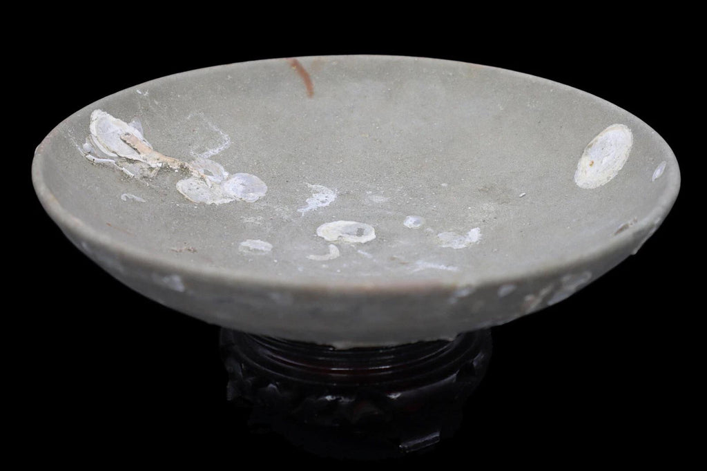 Ancient Ceramic Bowl, Dai Viet, Annam, Vietnam circa 1279 to 1368 AD, around the same period of the Chinese Yuan Dynasty, Shipwreck Pottery