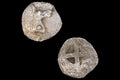Mende Macedonia 480 BCE Silver Coin Hemiobol, Head Of Donkey And Geometric Incuse, Numismatics Antiquities, Ancient Chalcidice Stater Drachm