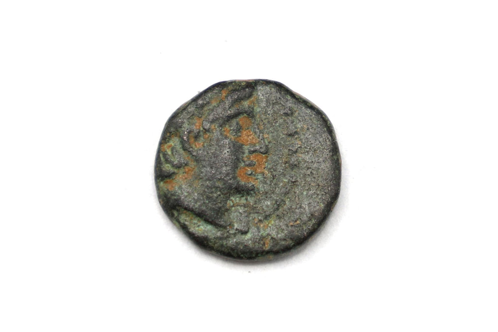 Ancient Roman Empire, Julia Mamaea, Bronze Coin AE30 Of Korykos, Cilicia, Circa 3rd Century AD, Numismatics And Historical Collectibles