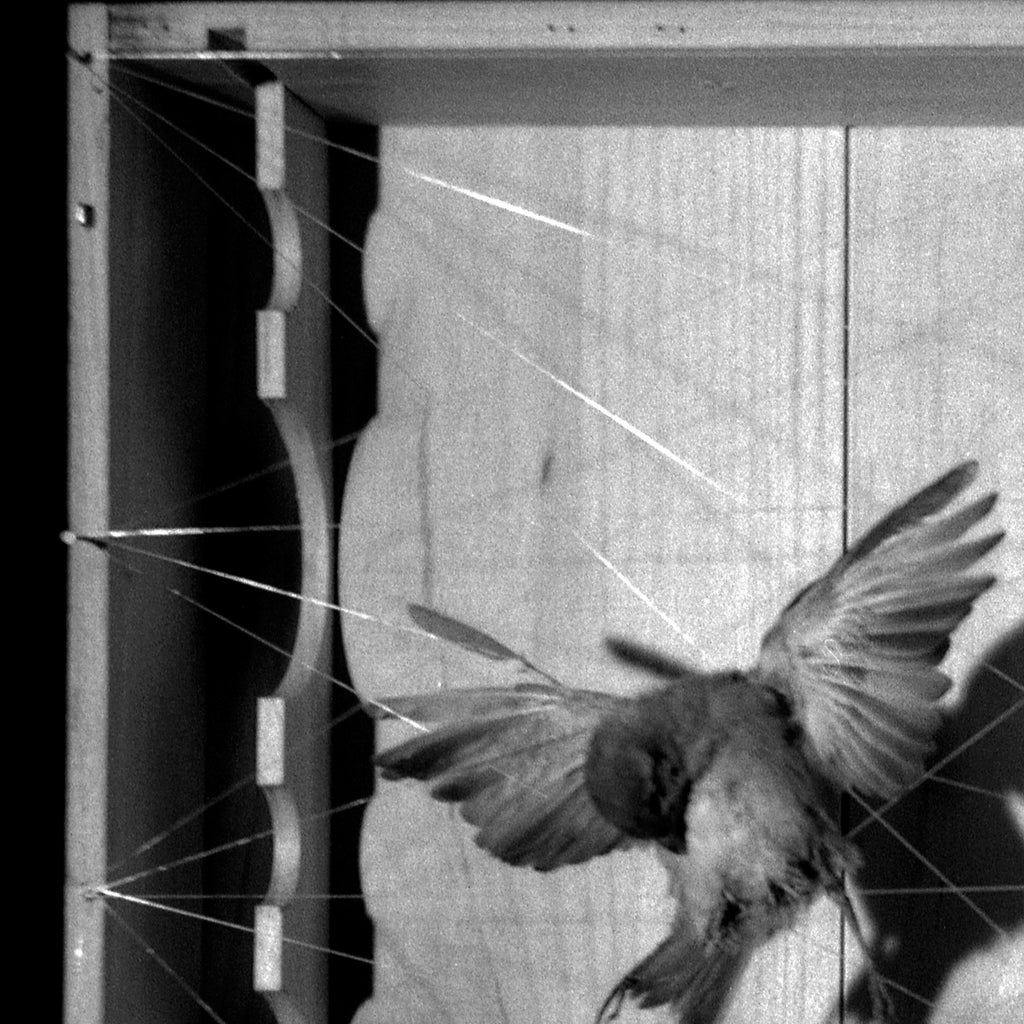 No More War Unless Its Commanded By Andy Warhol, Contemporary Conceptual Art Print, Black And White Film Photography, Dark Goth Aesthetics