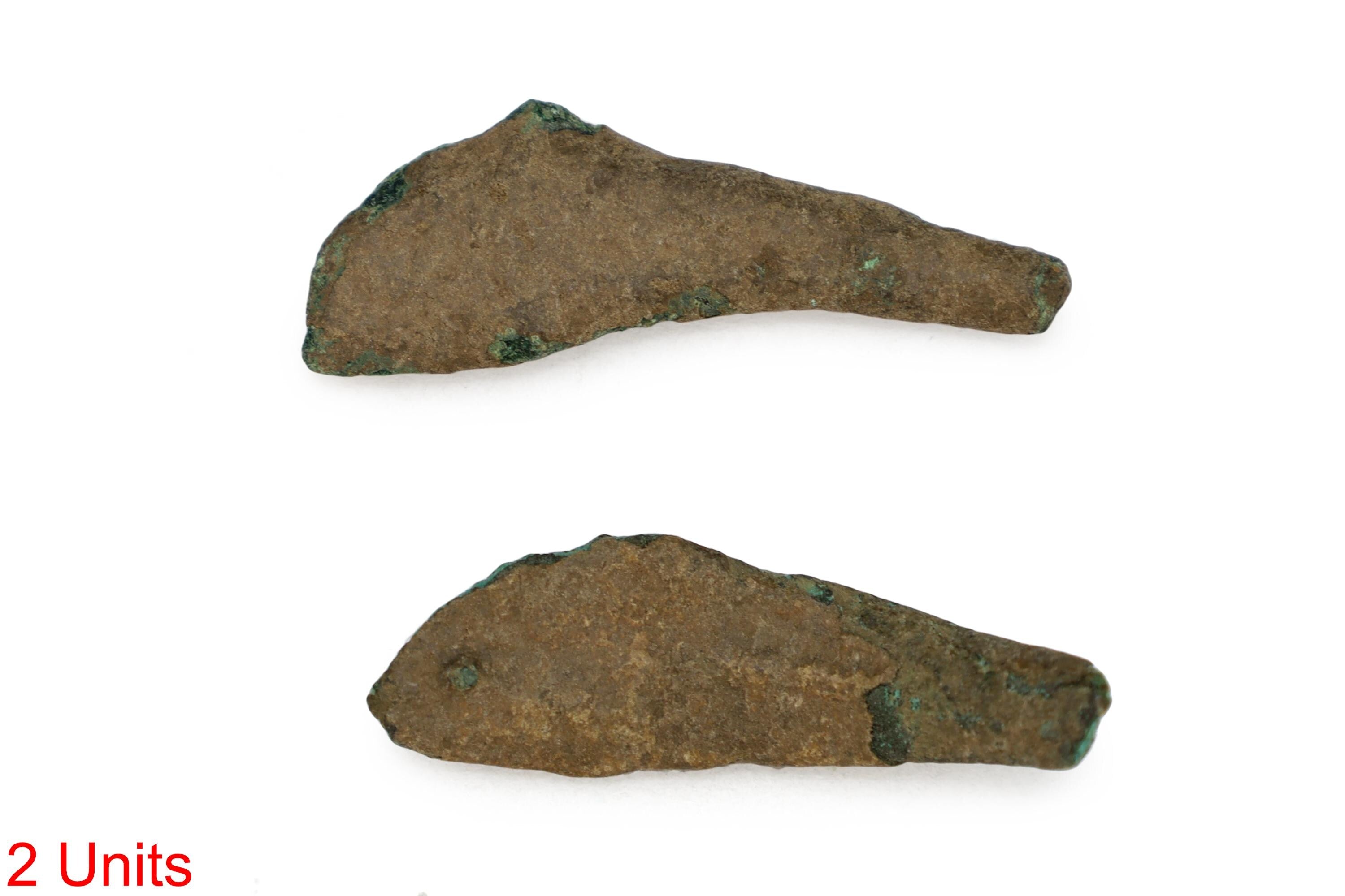 Pair Of Greek Coins, Dolphins of Olbia, Ancient 5th Century BCE Proto Money Of The Black Sea, Numismatics Historical Collectibles, Ukraine